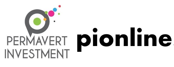 PI ONLINE LOGO WEB